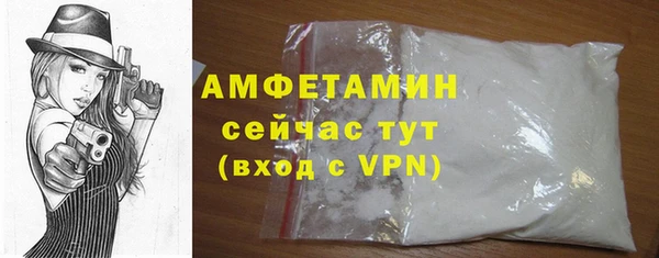 шишки Белокуриха