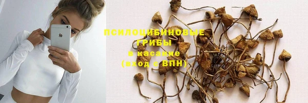 спайс Беломорск