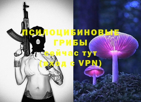 шишки Белокуриха