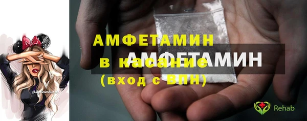 шишки Белокуриха