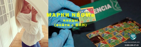 шишки Белокуриха