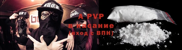 шишки Белокуриха