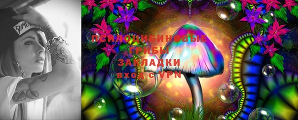 спайс Беломорск