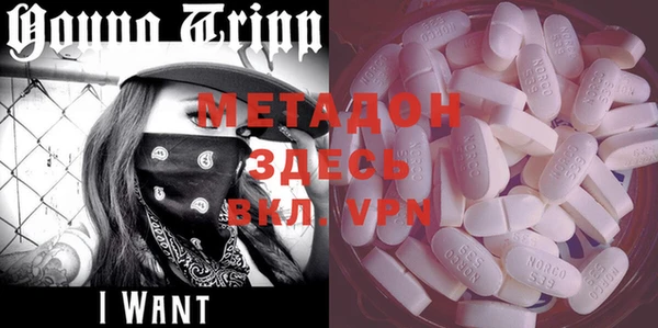 шишки Белокуриха