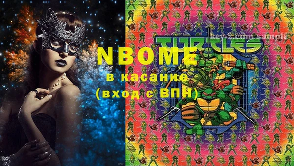 шишки Белокуриха