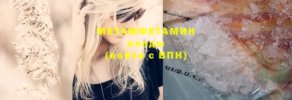 шишки Белокуриха