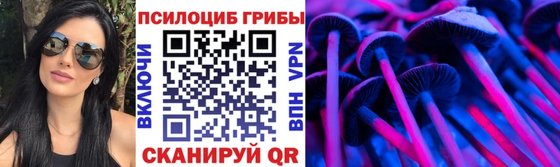 наркота  Ядрин  Псилоцибиновые грибы Psilocybe 